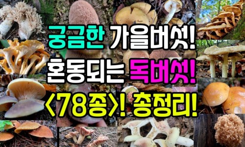 饥饿的时候先消耗脂肪还是肌肉-先消耗脂肪还是肌肉呢-空腹锻炼先消耗脂肪还是肌肉,中国先消耗脂肪还是肌肉网站