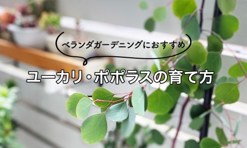 先消耗脂肪还是肌肉脂肪-先消耗脂肪还是肌肉呢-空腹锻炼先消耗脂肪还是肌肉,中国先消耗脂肪还是肌肉网站